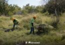 Sigue el mantenimiento de espacios públicos con apoyo de la Cuadrilla Renace; le tocó ahora a la colonia Voluntad y Trabajo