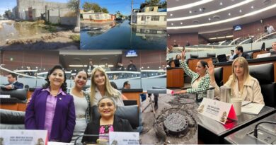 ¿QUE HARÁ MAKI EN EL SENADO, POR EL BIEN DE REYNOSA?
