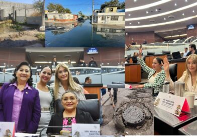 ¿QUE HARÁ MAKI EN EL SENADO, POR EL BIEN DE REYNOSA?