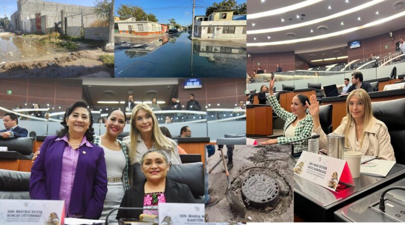 ¿QUE HARÁ MAKI EN EL SENADO, POR EL BIEN DE REYNOSA?