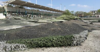 Inicia la rehabilitación de la cancha Enrique Borja de Ciudad Victoria