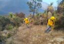 Controlado incendio forestal “Puerto del Volcán” en Miquihuana