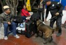 Realiza Agrupamiento Canino de la Guardia Estatal operativo para detectar narcóticos en Central de Autobuses