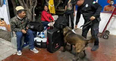 Realiza Agrupamiento Canino de la Guardia Estatal operativo para detectar narcóticos en Central de Autobuses