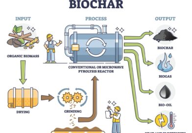 MATAMOROS LIDERA INNOVACIÓN ENERGÉTICA: PROYECTAN PLANTA DE HIDROCARBUROS DE 6.5 MDD