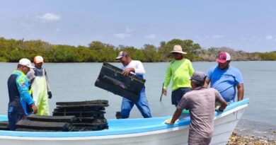 Refuerzan acciones para el crecimiento sostenible del ostión en Aldama