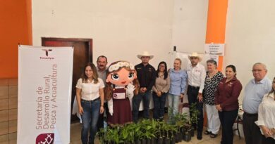 Con pláticas y donación de plantas, promueven cuidado ambiental en Padilla