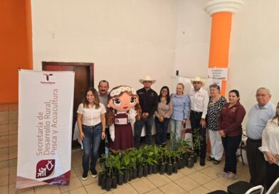 Con pláticas y donación de plantas, promueven cuidado ambiental en Padilla