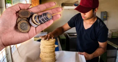 ¿Sube la tortilla en abril? Productores y Gobierno chocan por nuevo precio