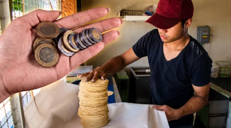 ¿Sube la tortilla en abril? Productores y Gobierno chocan por nuevo precio