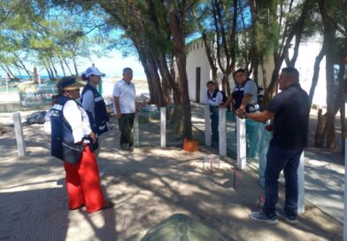 Fortalece Tamaulipas intercambio técnico  para la conservación de la tortuga lora