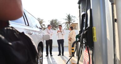 SEDENER y Eservices alistan nuevo webinar para el sector gasolinero