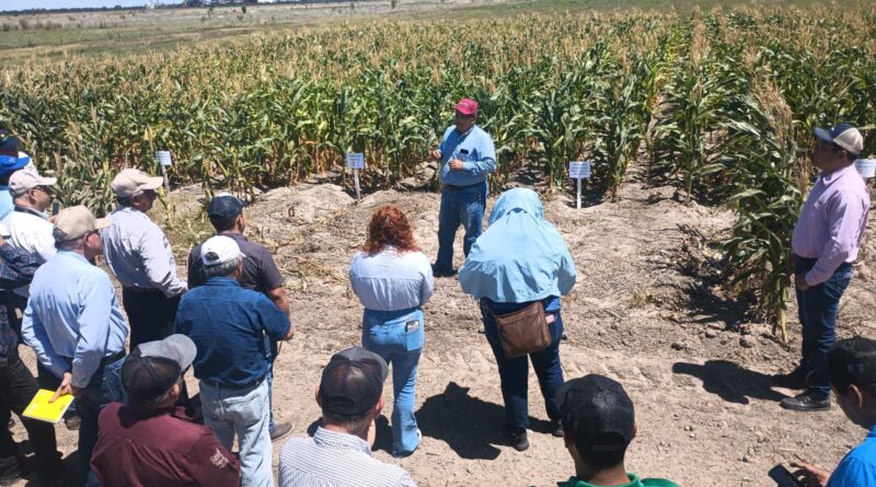 Promueven uso de residuos orgánicos para fortalecer la productividad agrícola