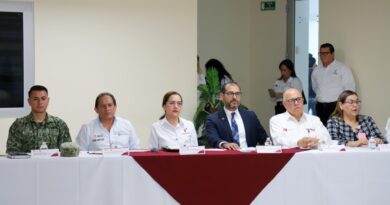 Evalúa Comando Interinstitucional del Sector Salud programas preventivos y de atención a la población