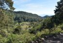Sectur y UAT unen fuerzas para transformar turismo tamaulipeco