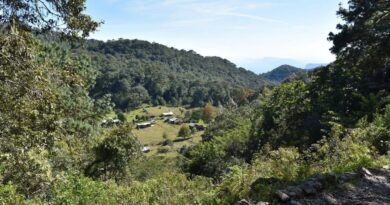 Sectur y UAT unen fuerzas para transformar turismo tamaulipeco