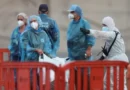 tres nuevos casos de hantavirus en los pasajeros que viajaban en el crucero afectado.
