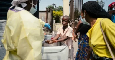 Cuándo Comenzó la Epidemia en Africa del Ebola
