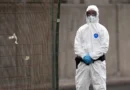 México emite Aviso Epidemiológico por Hantavirus: Puntos Clave