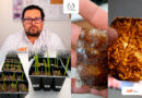 Patenta la UAT bioplásticos que recuperan suelos erosionados