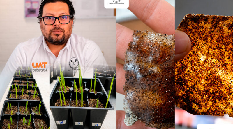 Patenta la UAT bioplásticos que recuperan suelos erosionados
