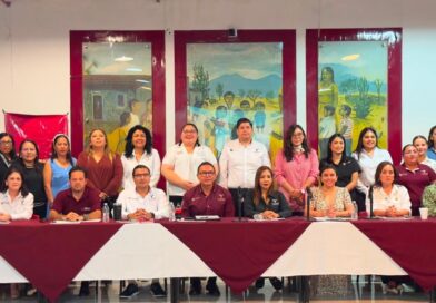 Reafirma SIPINNA Tamaulipas compromiso con la primera infancia durante Quinta Sesión