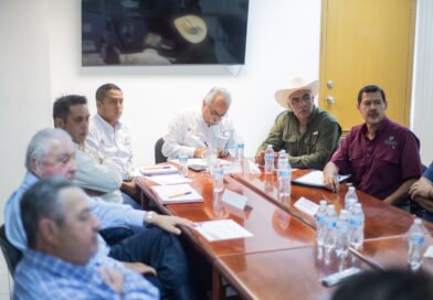Fortalecen vigilancia fitosanitaria para contener el cancro de los cítricos