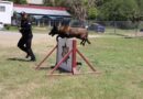 Binomios K-9 de la Guardia Estatal fortalecen la seguridad y la cercanía con la ciudadanía