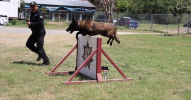 Binomios K-9 de la Guardia Estatal fortalecen la seguridad y la cercanía con la ciudadanía