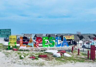 Avanzan las acciones para lograr playas más ordenadas y seguras en Tamaulipas