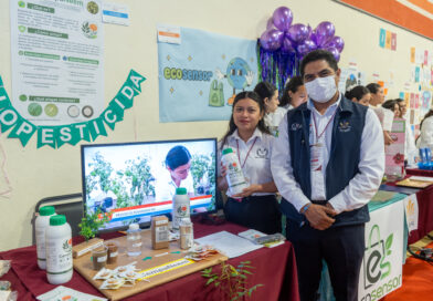 Desarrolla alumna de la UAT biopesticida que elimina plagas agrícolas