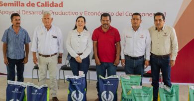 Fortalece Tamaulipas la producción agrícola con apoyos de semilla certificada