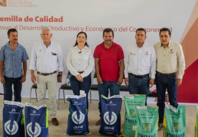 Fortalece Tamaulipas la producción agrícola con apoyos de semilla certificada