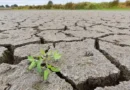 Septiembre rompe récord de sequía y se convierte en el mes más seco en 42 años