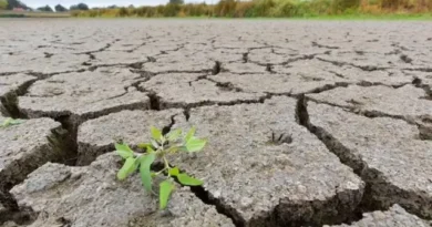 Septiembre rompe récord de sequía y se convierte en el mes más seco en 42 años