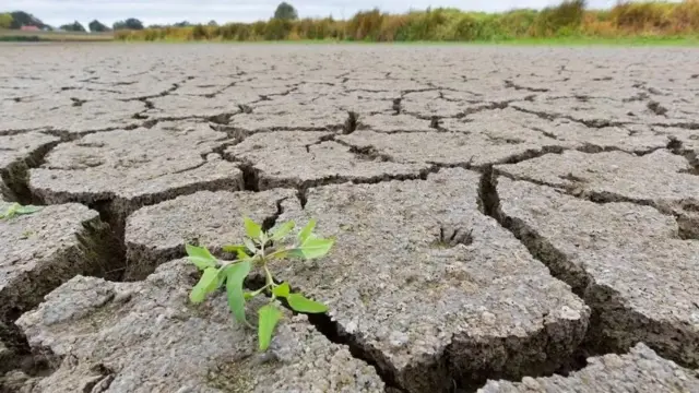 Septiembre rompe récord de sequía y se convierte en el mes más seco en 42 años