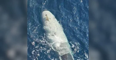 Irán anuncia que capturó uno de los submarinos no tripulados de EU más modernos e inteligentes