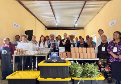 La UAT consolida proyecto de aprovechamiento del laurel para el emprendimiento rural