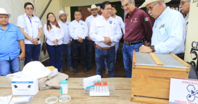 En Tamaulipas se han destinado 545 MDP en apoyos al sector ganadero: Américo
