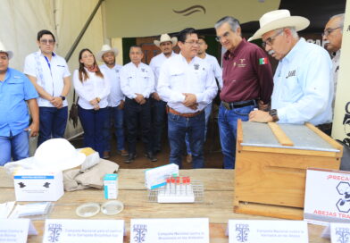En Tamaulipas se han destinado 545 MDP en apoyos al sector ganadero: Américo